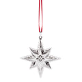2026 10th Annual Star Ornament
